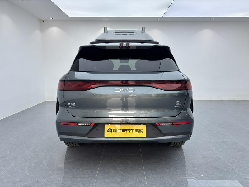 BYD Tang L DM 2025