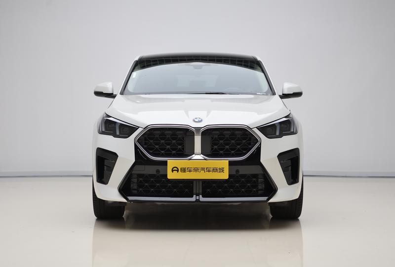 BMW BMW X2 (imported) 2024
