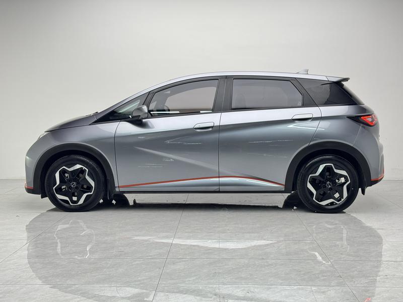 BYD dolphin 2021