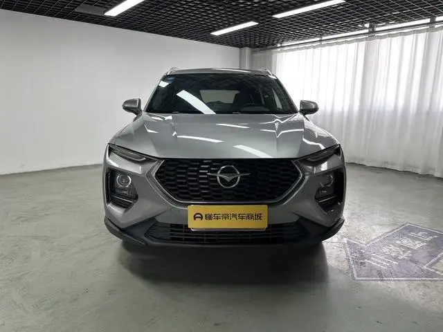 Haima Seahorse 8S 1.6T automatic tide version