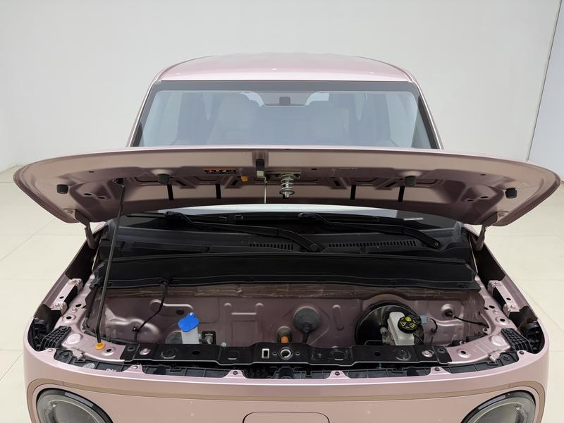 Geely Galaxy panda 2023