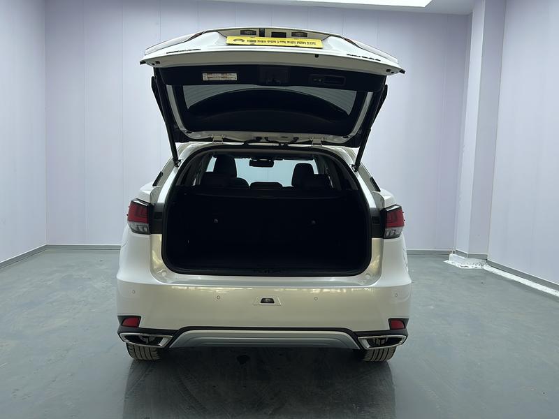 Lexus Lexus RX 2020