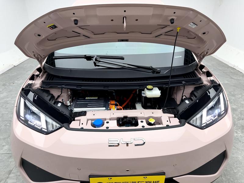 BYD seagull 2025