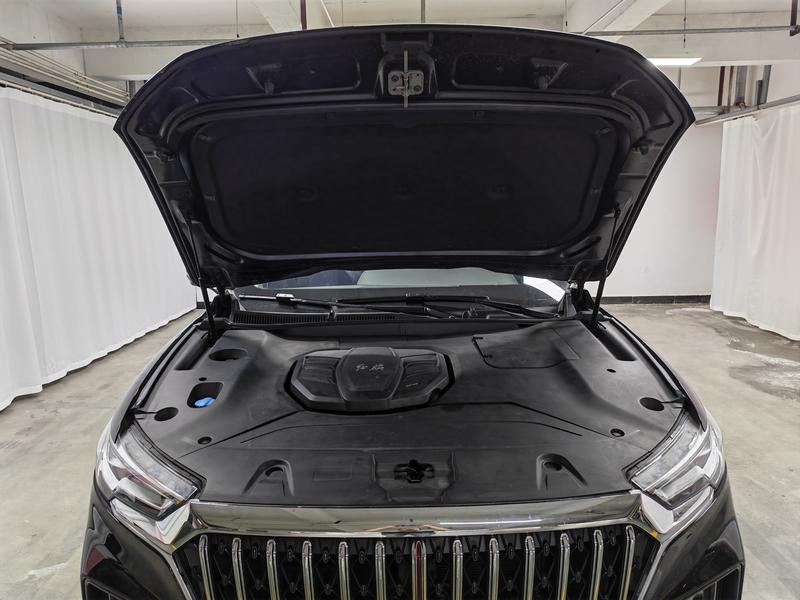 Hongqi Red Flag HS5 2022