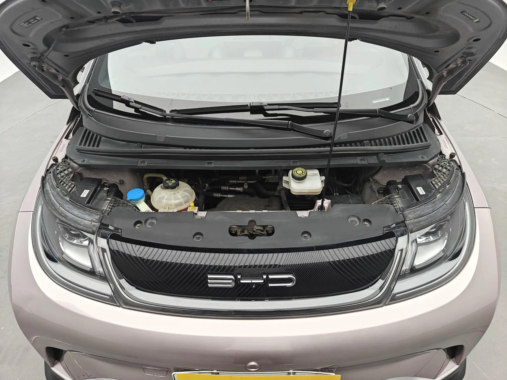 BYD dolphin Knight Edition