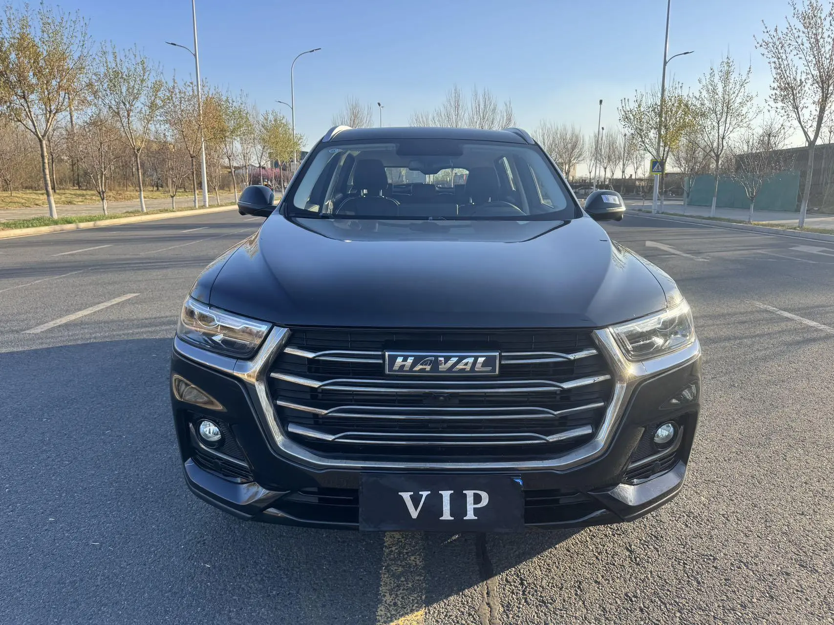 Haval Haval H6 National Tide Version 1.5T Automatic Champion Version