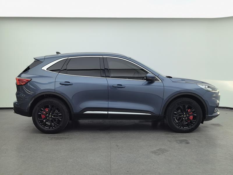 Ford Ruiji 2020