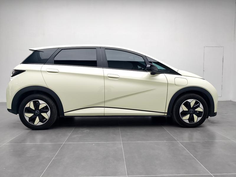 BYD dolphin 2025