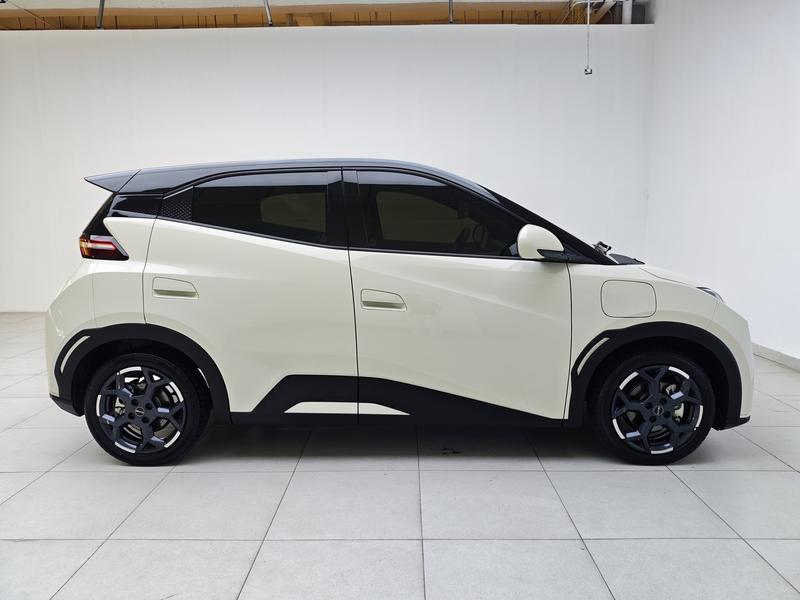 BYD seagull 2025