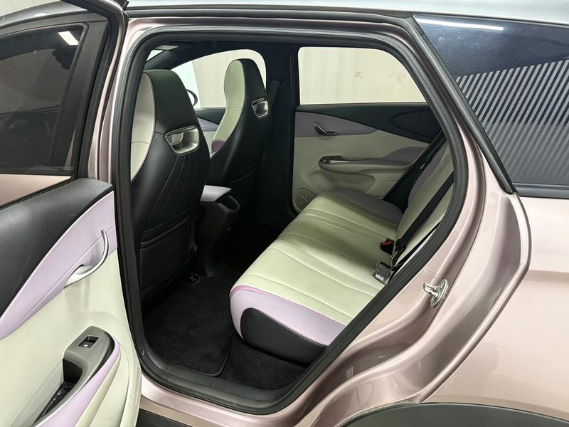 BYD dolphin 2021