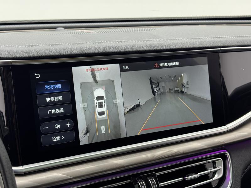 Hongqi Red Flag H9 2020