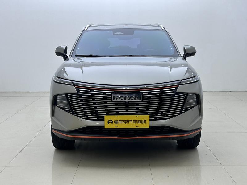 Haval Haval Divine Beast 2021