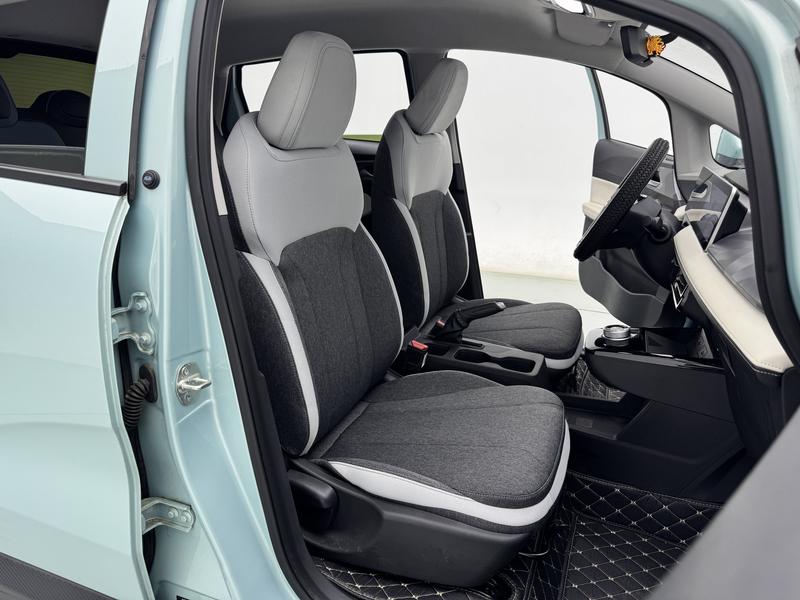 Geometry Geely Geometry E Firefly 2024