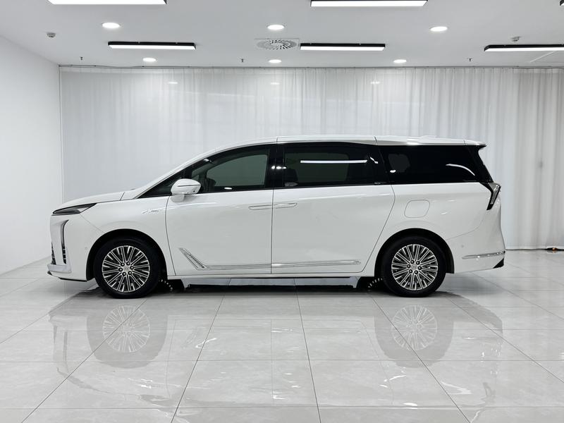 Buick Buick GL8 PHEV 2024