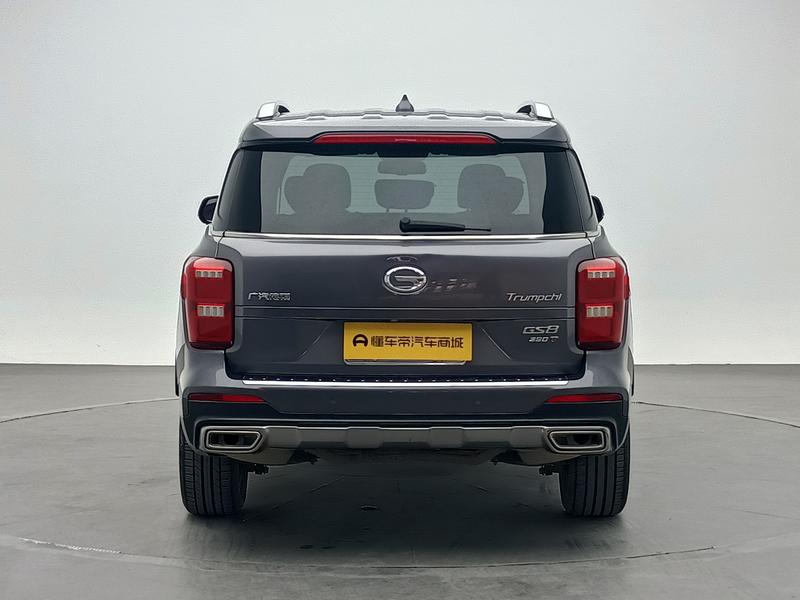Trumpchi Trumpchi GS8 2020