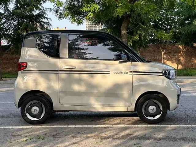 Wuling Wuling Hongguang MINIEV Macaron Premium Lithium Iron Phosphate
