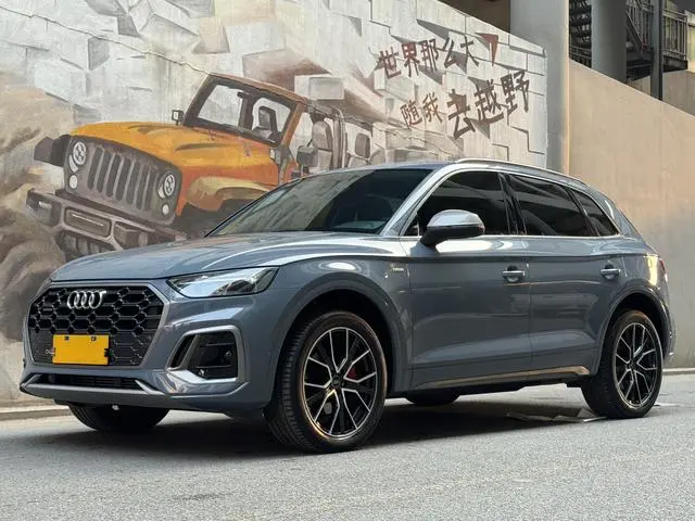 Audi Audi Q5L 40T RS fuel speed kit type