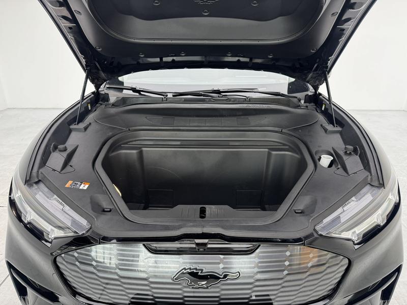 Ford Ford Electric Horse 2021