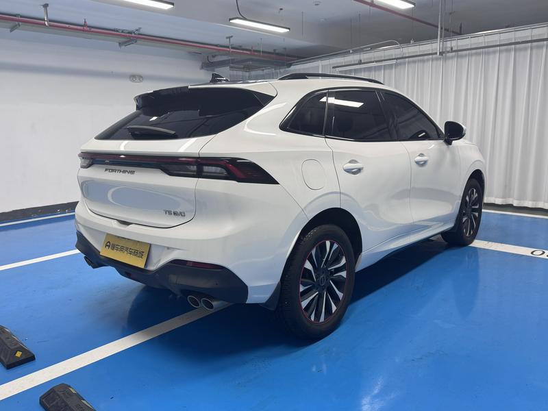 Forthing Fengxing T5 EVO 2021