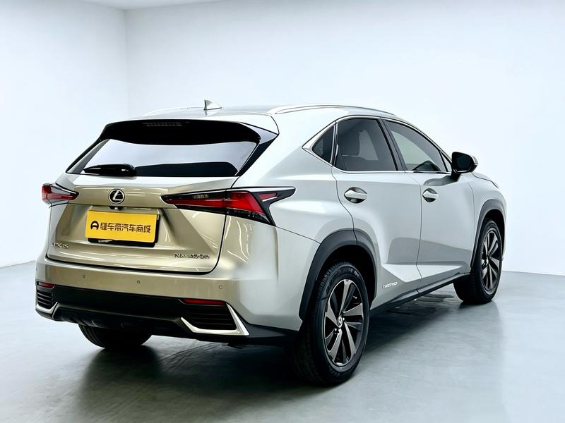 Lexus Lexus NX 2020