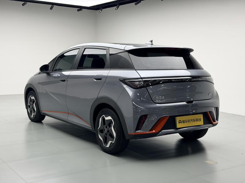BYD dolphin 2021