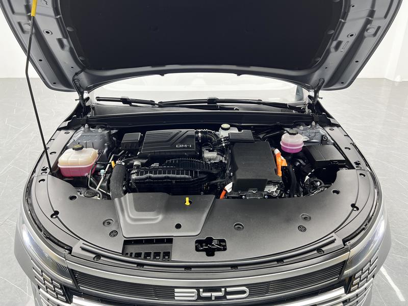 BYD Destroyer 05 2024