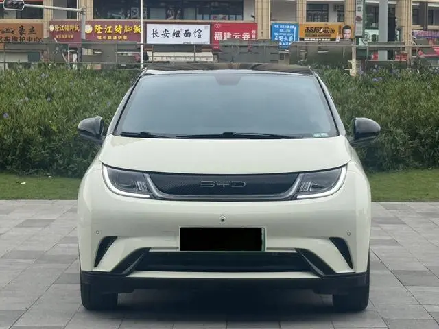 BYD dolphin Fashion edition