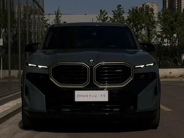 BMW BMW XM 4.4T standard type