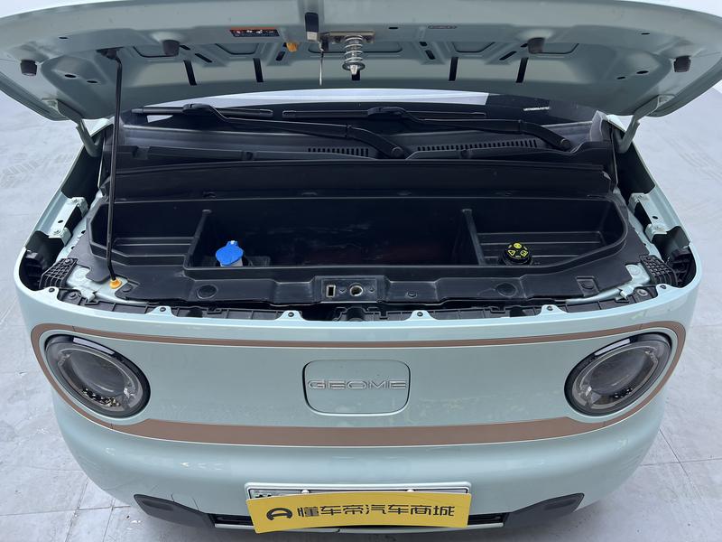 Geely Galaxy panda 2024