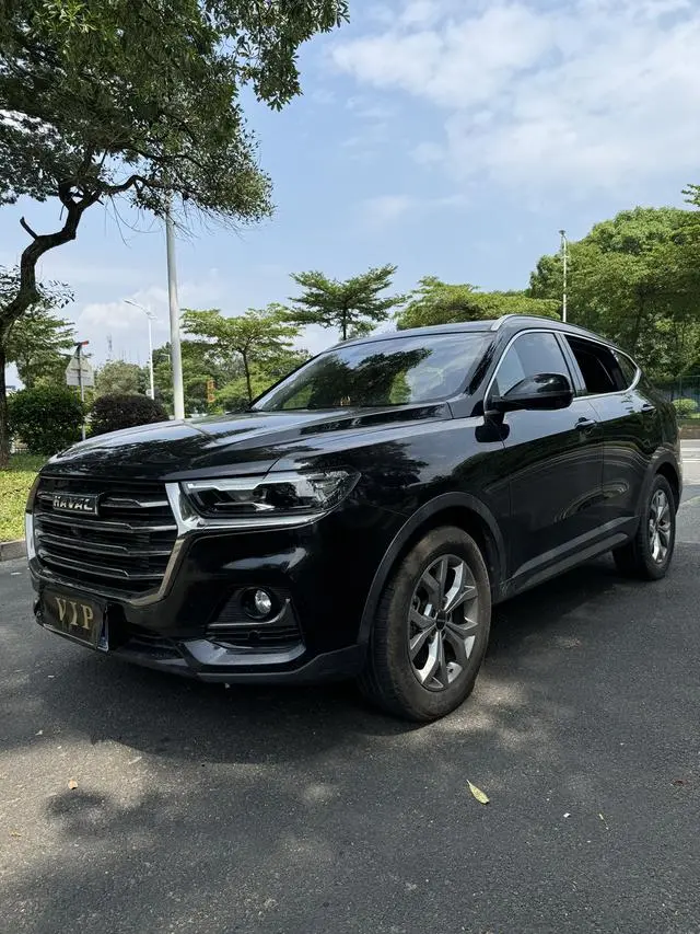 Haval Haval H6 National Tide Version 1.5T Automatic Champion Version
