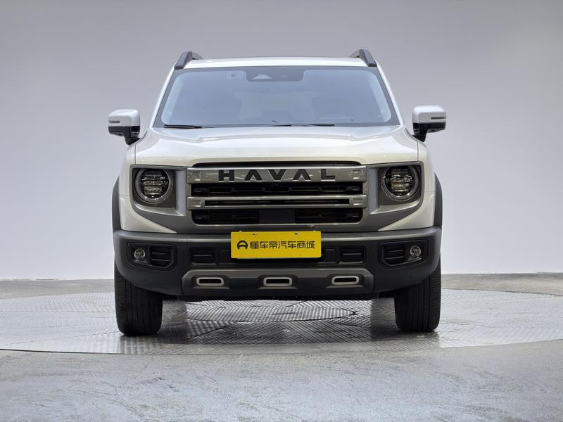 Haval 长城大狗 2024