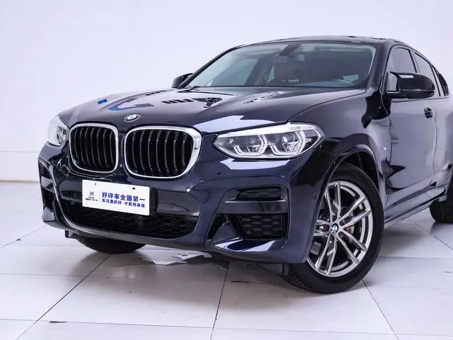 BMW BMW X4 xDrive25i M sports suit