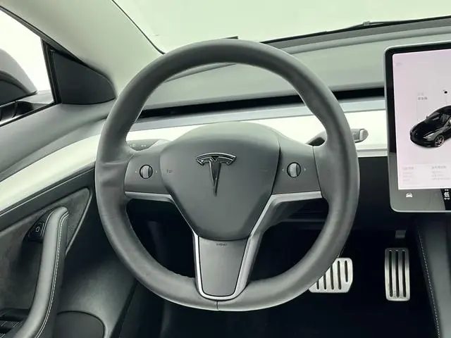 Tesla Model 3 Performance high-performance all-wheel drive version 3D3/3D1