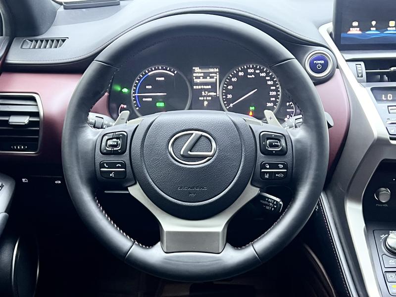 Lexus Lexus NX 2020