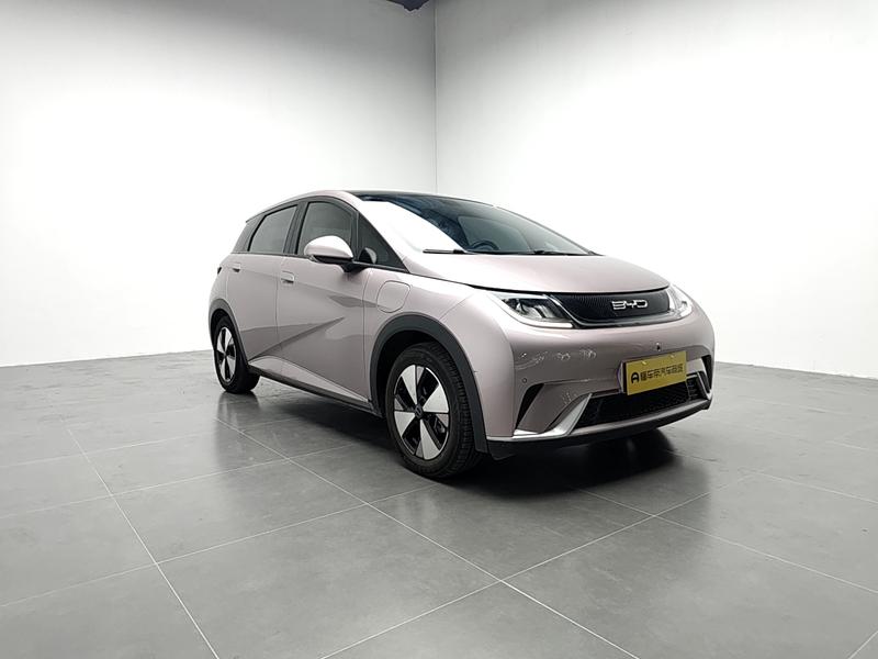 BYD dolphin 2023