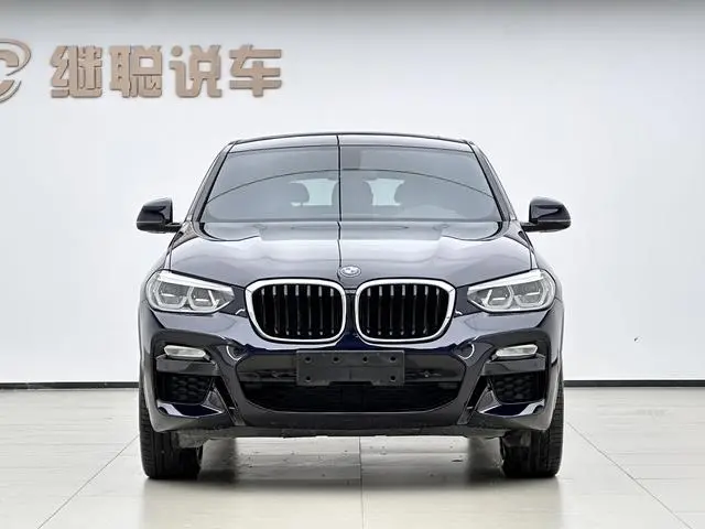 BMW BMW X4 xDrive30i M sports suit