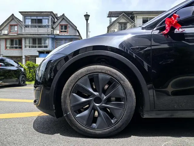 Tesla Model Y Rear-wheel drive version