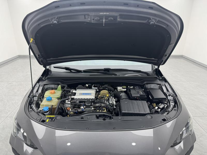 Trumpchi Shadow Leopard 2021
