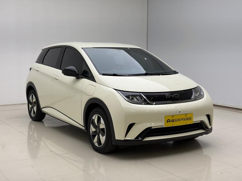 BYD dolphin 2024