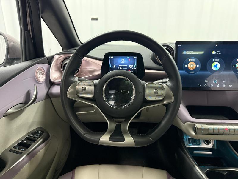 BYD dolphin 2021