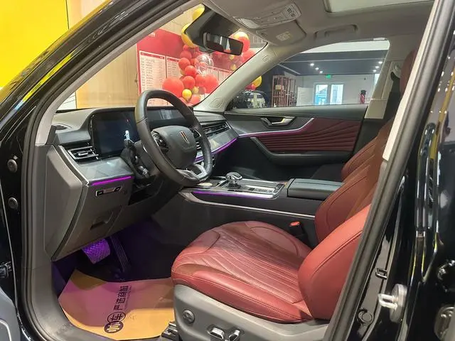 Hongqi Hongqi HS5 2.0T Qixiang Pro 500,000 Commemorative Edition