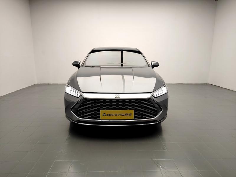 BYD Qin PLUS DM 2024