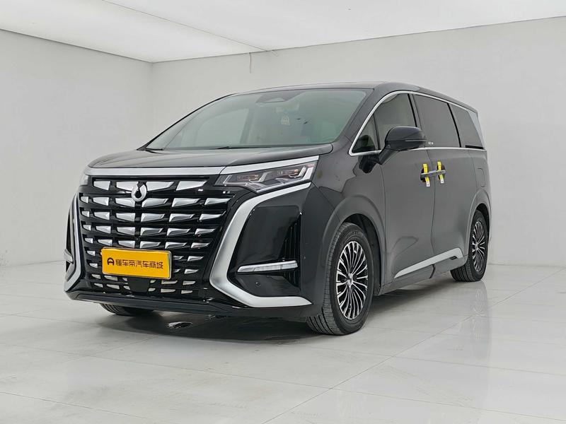 Denza Tengshi D9 DM 2024