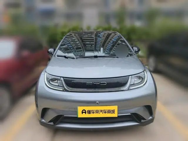 BYD dolphin Fashion edition