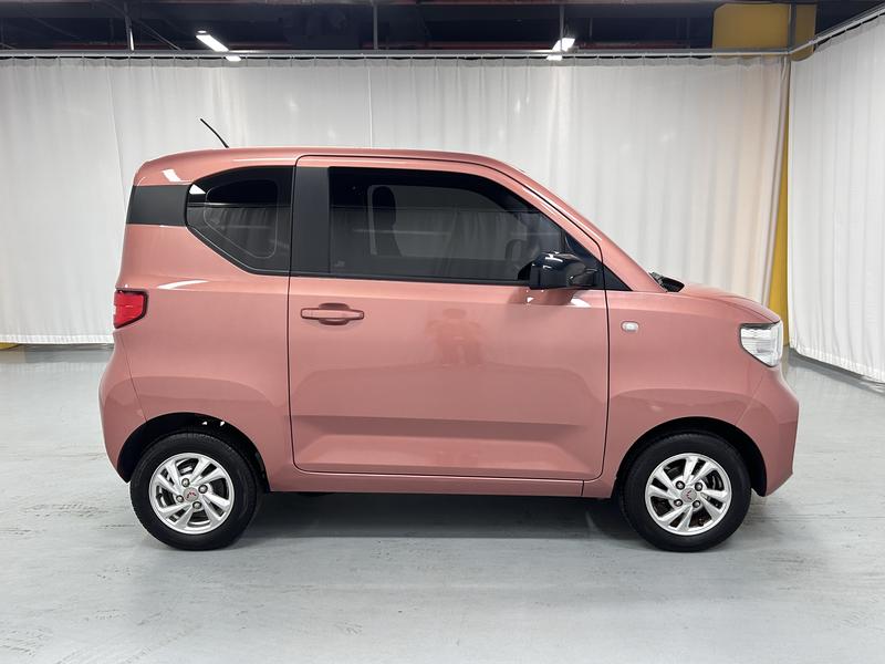 Wuling Wuling Hongguang MINIEV 2020