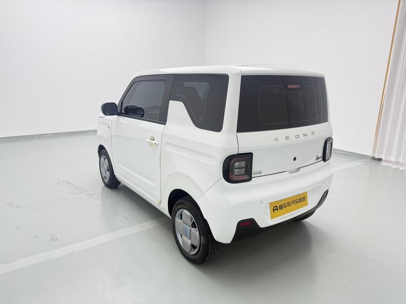 Geely Galaxy panda 2024