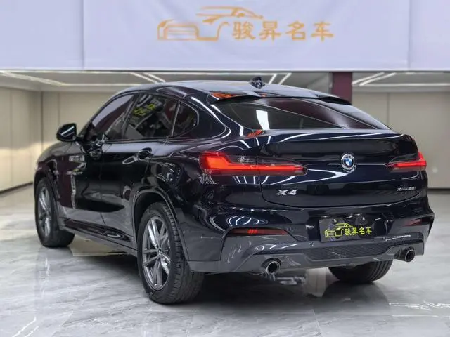 BMW BMW X4 xDrive25i M sports suit