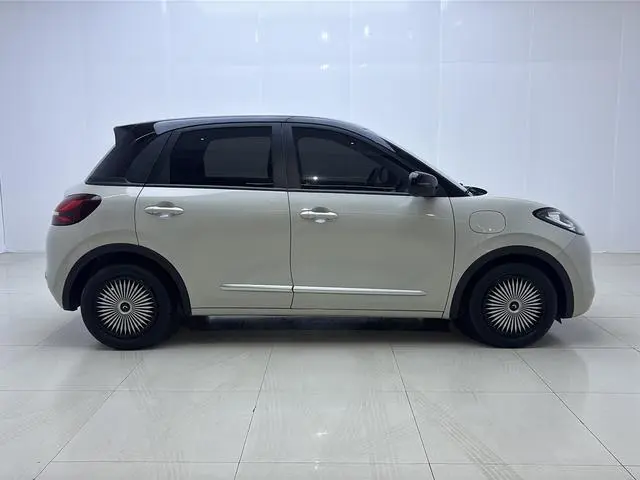 Wuling Wuling Bingguo 203KM light enjoyment