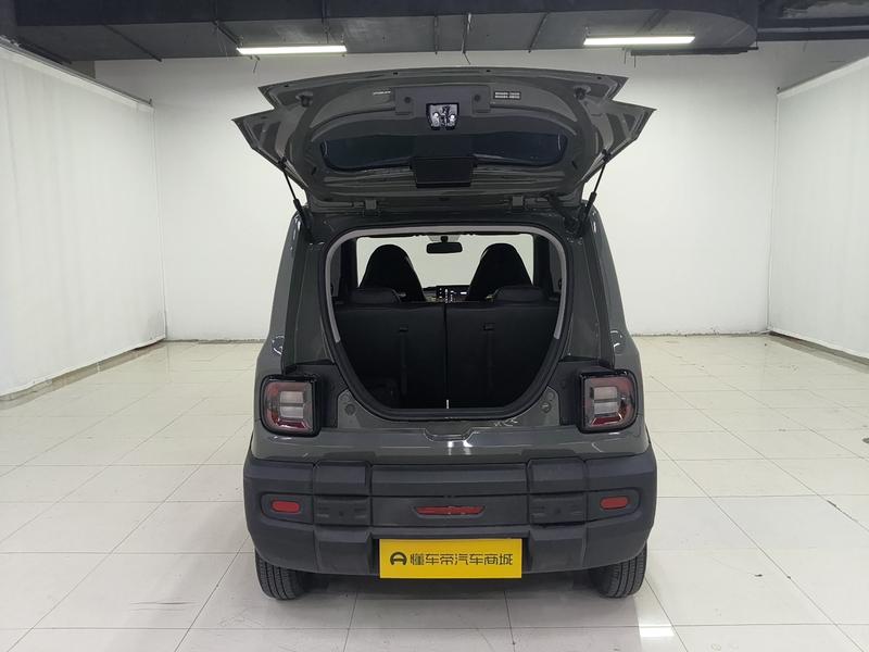 Geely Galaxy panda 2024