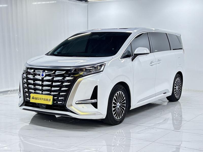 Denza Tengshi D9 DM 2024